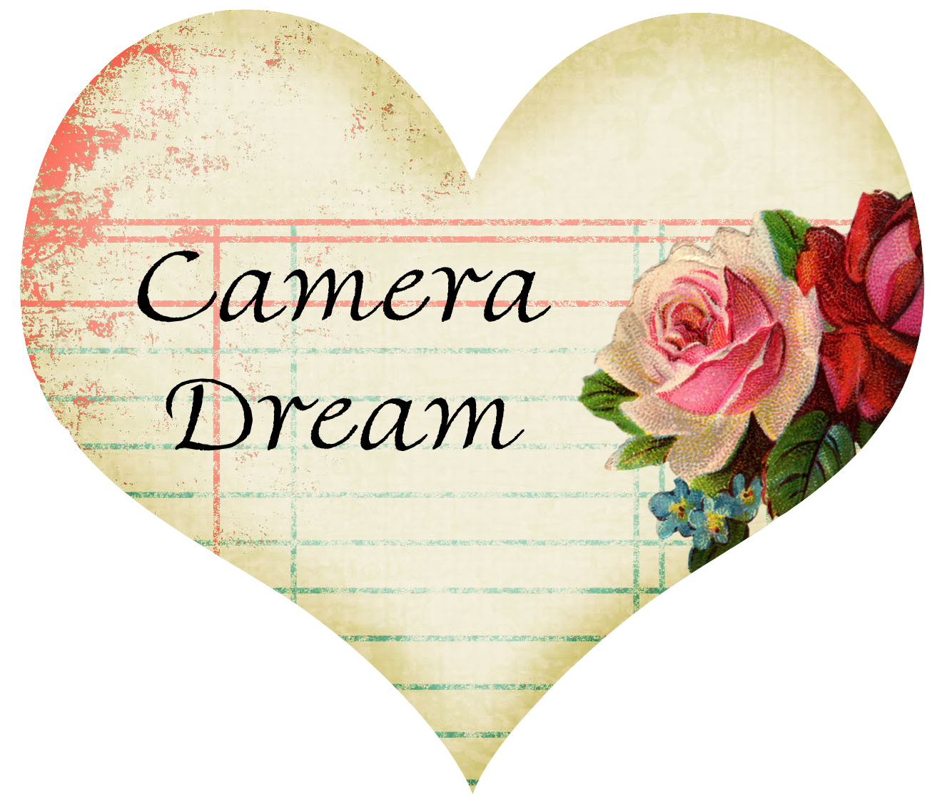 Camera Dream